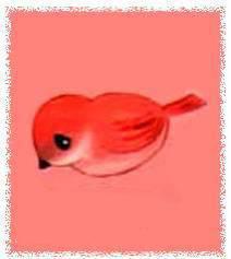 kuréno le coq